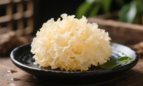 雄性动物一定比雌性强壮吗-雄性动物是什么意思-雄性动物有哪些,中国雄性动物区别网站